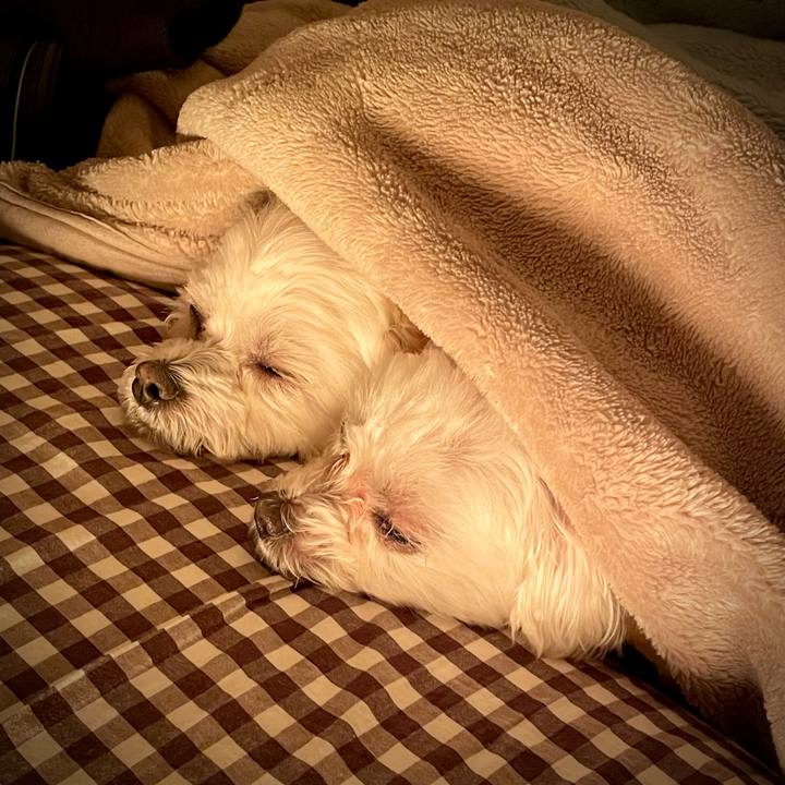 D6692606 acc2 4737 bc2c 13d4ad630916 1642245342887