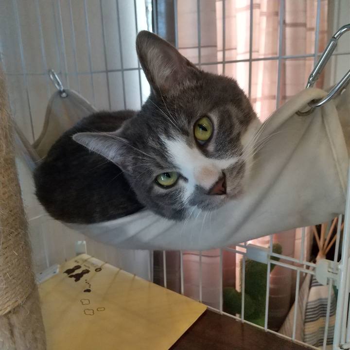 D6697cf2 1ea0 4da2 bd0a 49b29de17992 1608708052282