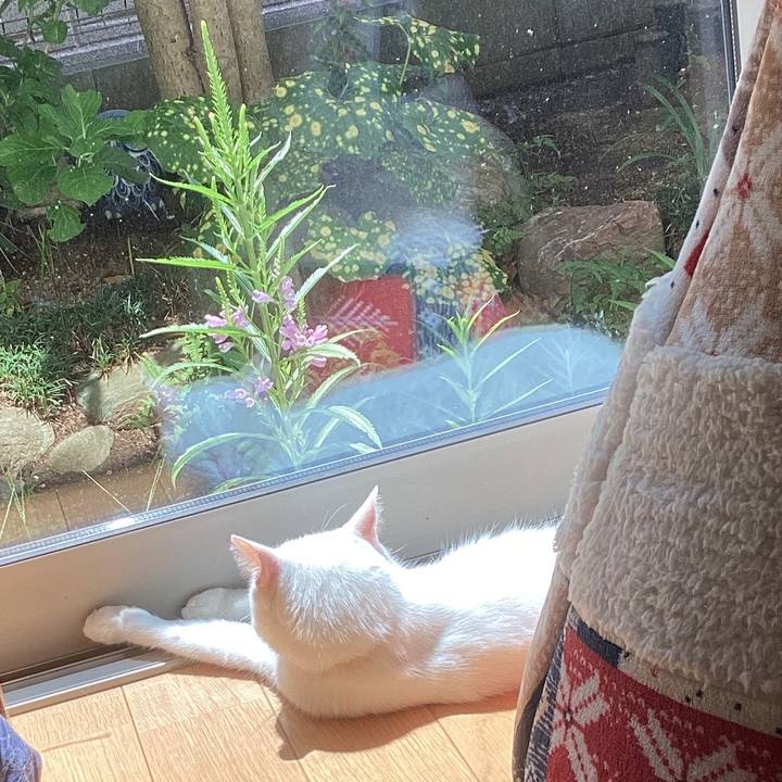 D669b4b6 701c 43a1 96ee a6d77ffa8c14 1691643705591