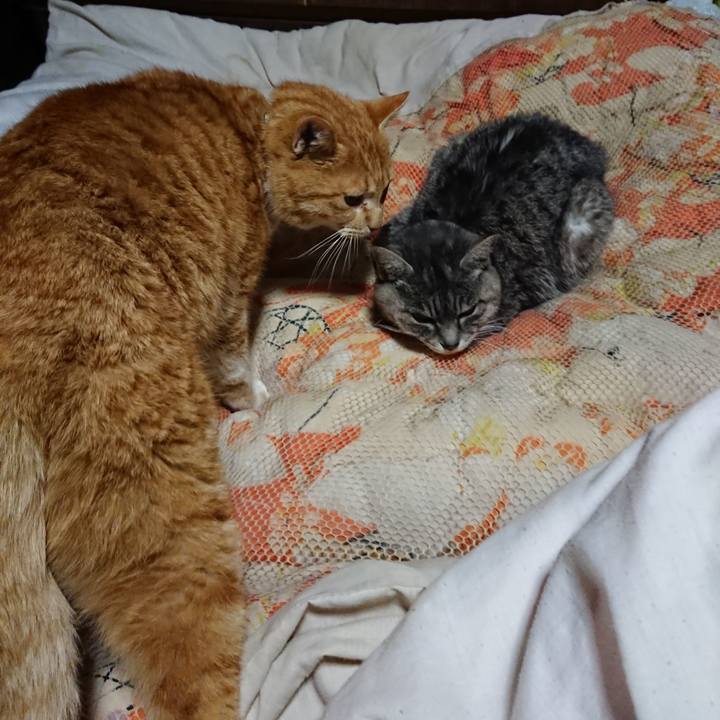 D669dd0b 057a 4d1d ac4a 1ff838de3696 1581078409666