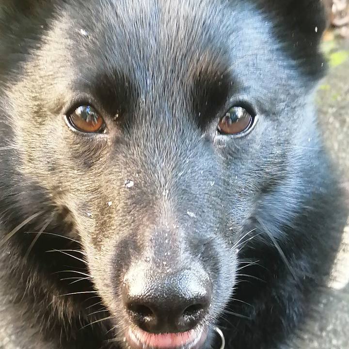 D66a385f 7b5e 4f6e a648 d8913afa9e8c 1621890567386