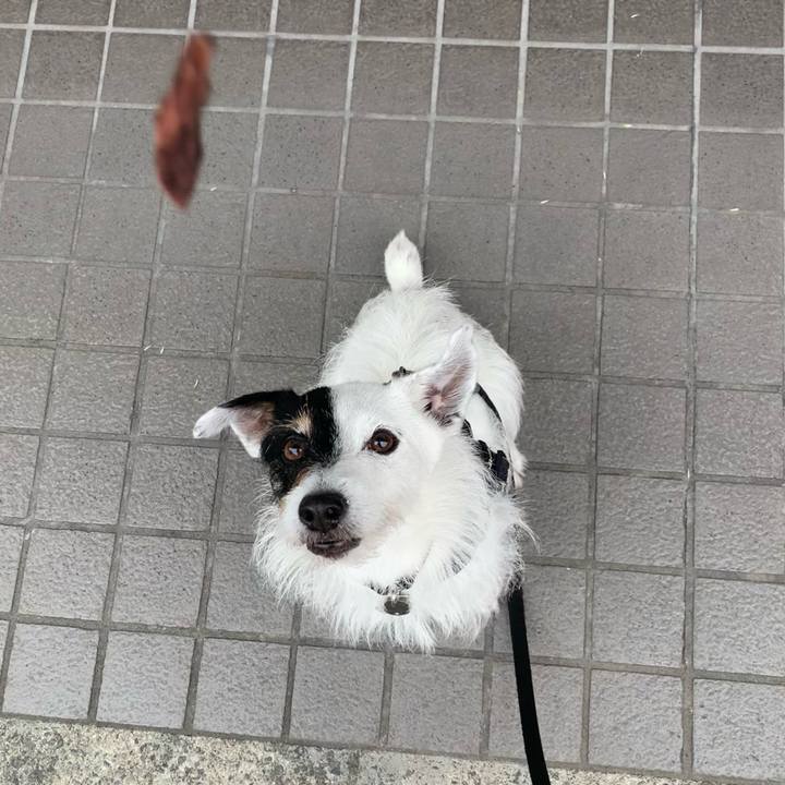 D66a47e4 e435 4f68 ae6e ed3f72563b68 1716511080332