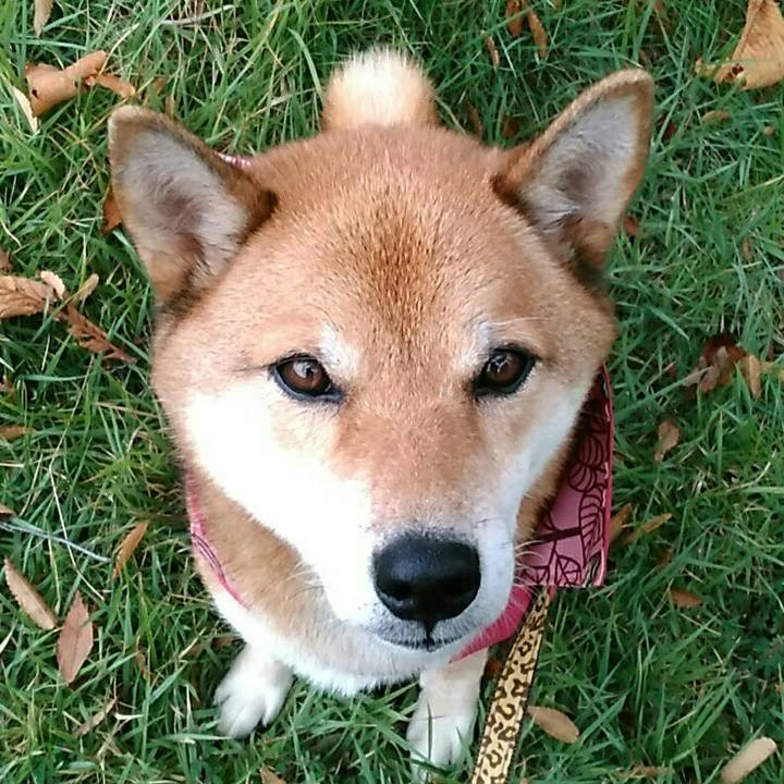 D66a555e 6608 4d6c 8089 f35a1b461662 1539304180934