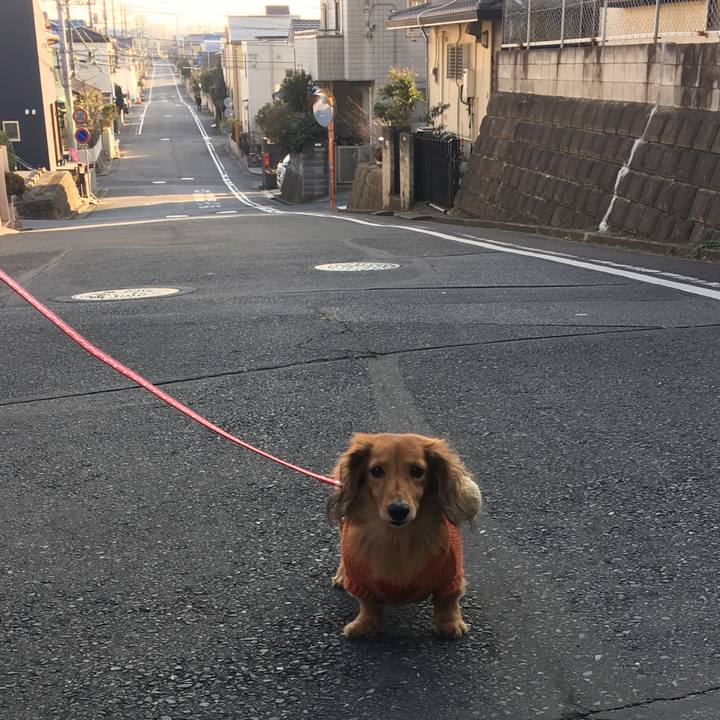 D66a8c4d fe9c 4d3b 9593 dbe40a60f549 1516525318276