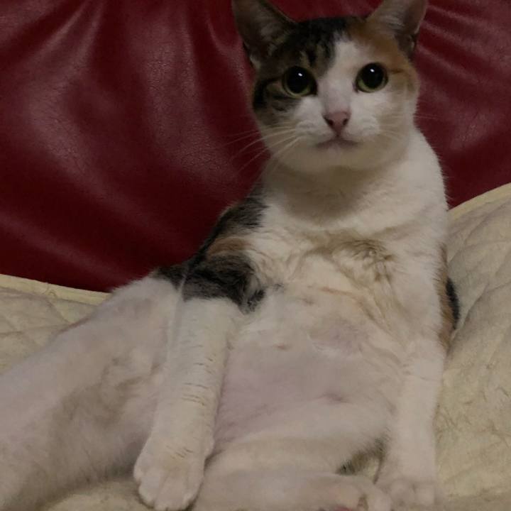 D66ae565 0f1b 45d6 bc1d dbeb3dfaffef 1611862644225