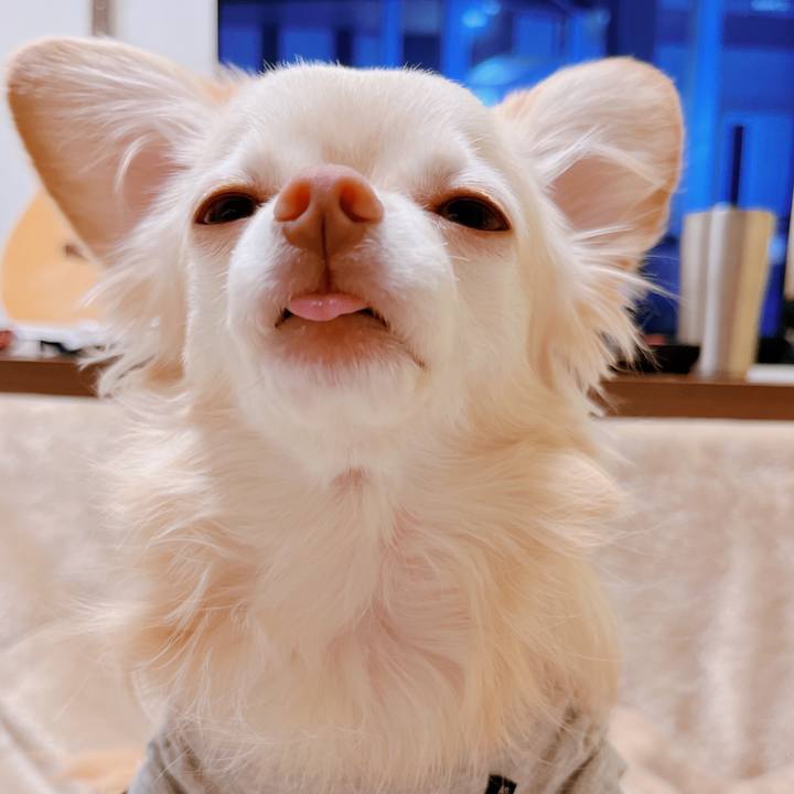 D66b13d5 ff94 4be5 b47d 6f1862477821 1671440347729