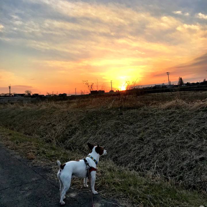 D66b322e 81ed 4743 96a9 0d60e5b5ad14 1512909709036