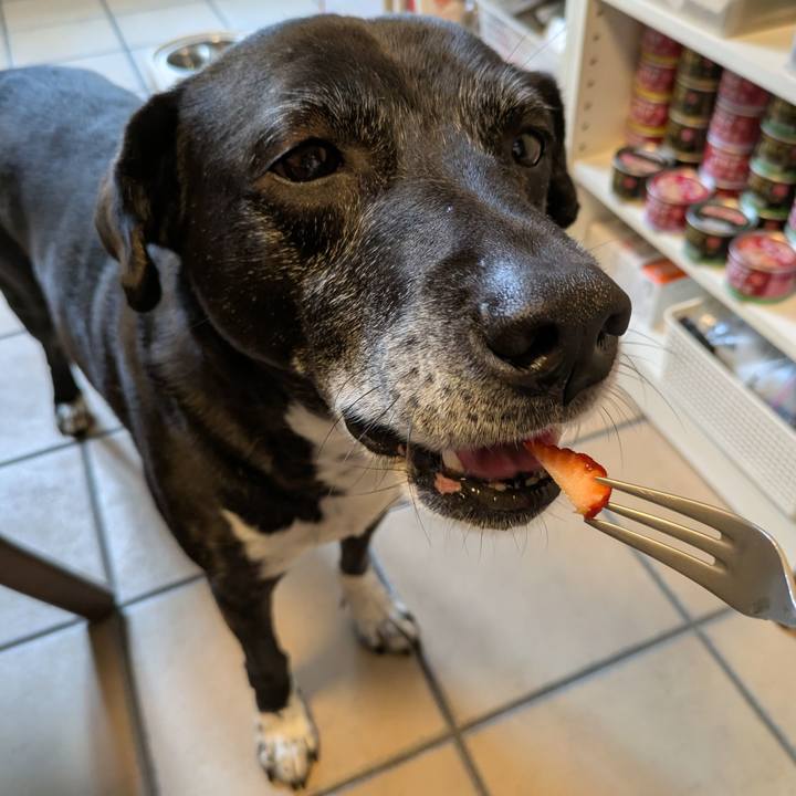 D66b79f3 b5fc 4f53 b915 c0036e33fb67 1746788584740