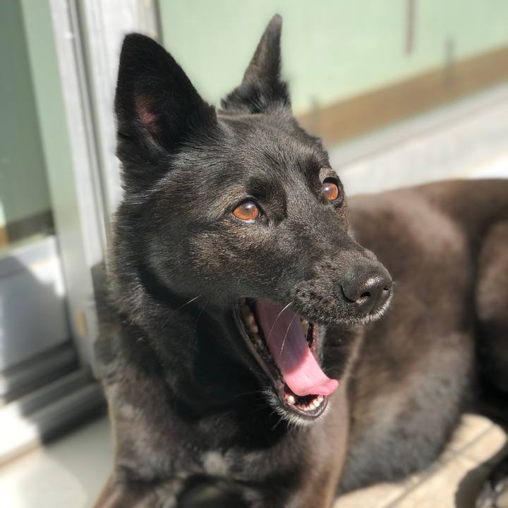 D66beafd 9b6b 448e bb22 37d760ae638c 1550972830430