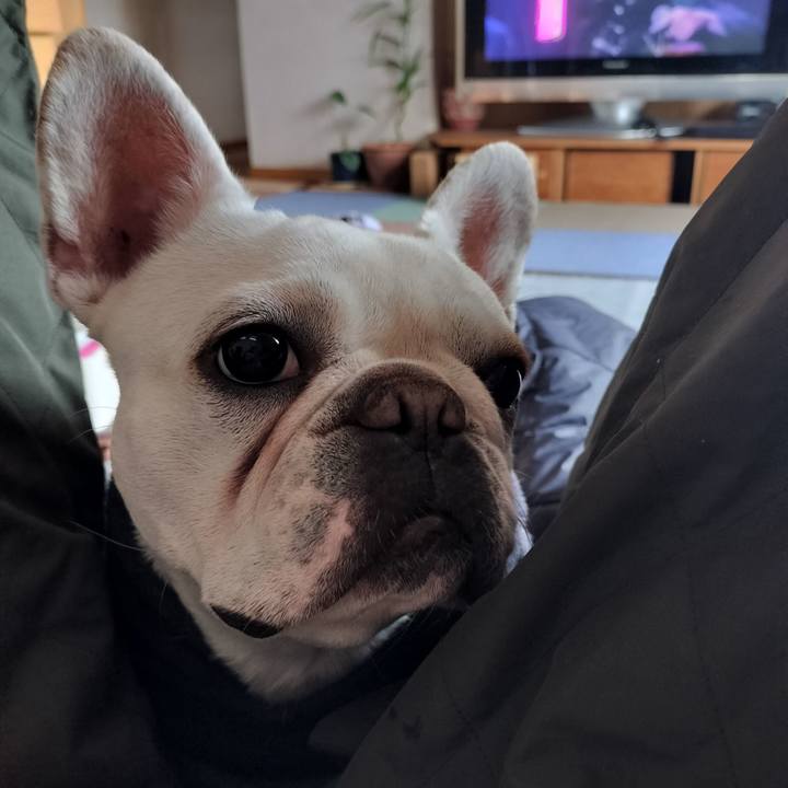 D66c14dc 5a6c 43ad b0fb fb7e2f2b4a10 1675946466756