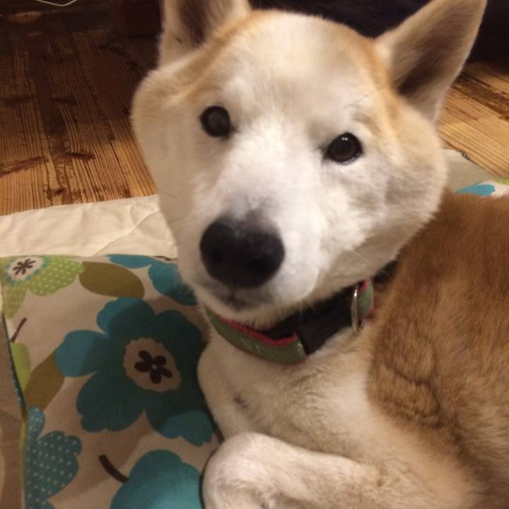 D66c5edb 5e9a 4783 aee7 f88fd97c1a05 1563979240490