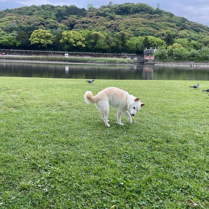 D66caa97 e9eb 4b19 aeb6 1af0c798105d 1651837861269