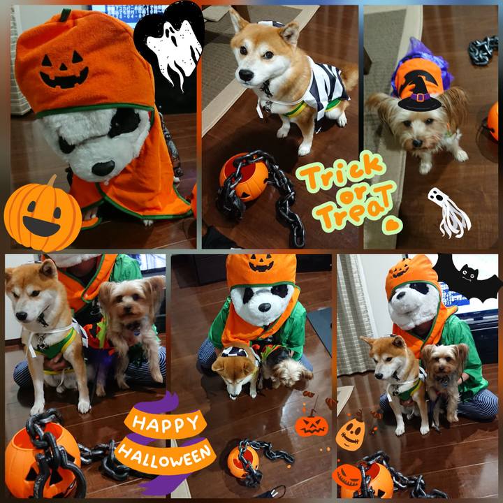 D66cbf07 392c 445f 99f7 9c0103df7e16 1539258396321