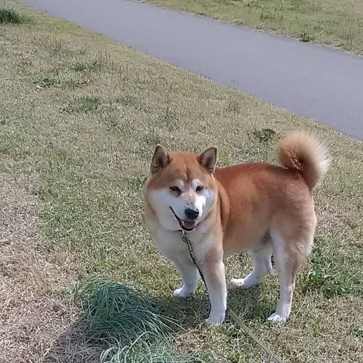 D66cca79 6c05 4b01 816e d870b8a9cc77 1680218006973