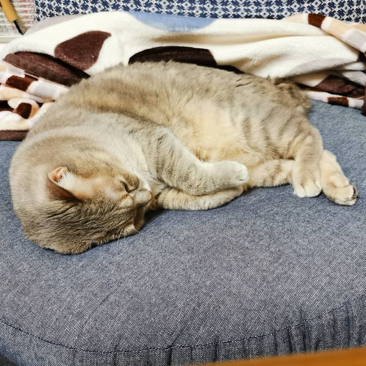 D66cd5b6 9e63 4701 82b4 83f492298cc9 1665723163317