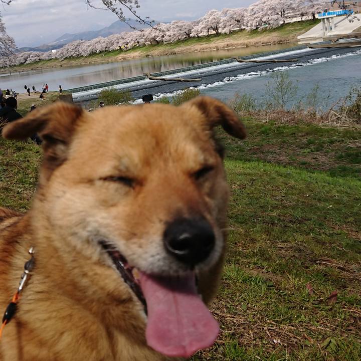 D66cda6b 02c2 4a54 a97b c4d5564d4e58 1617546458096