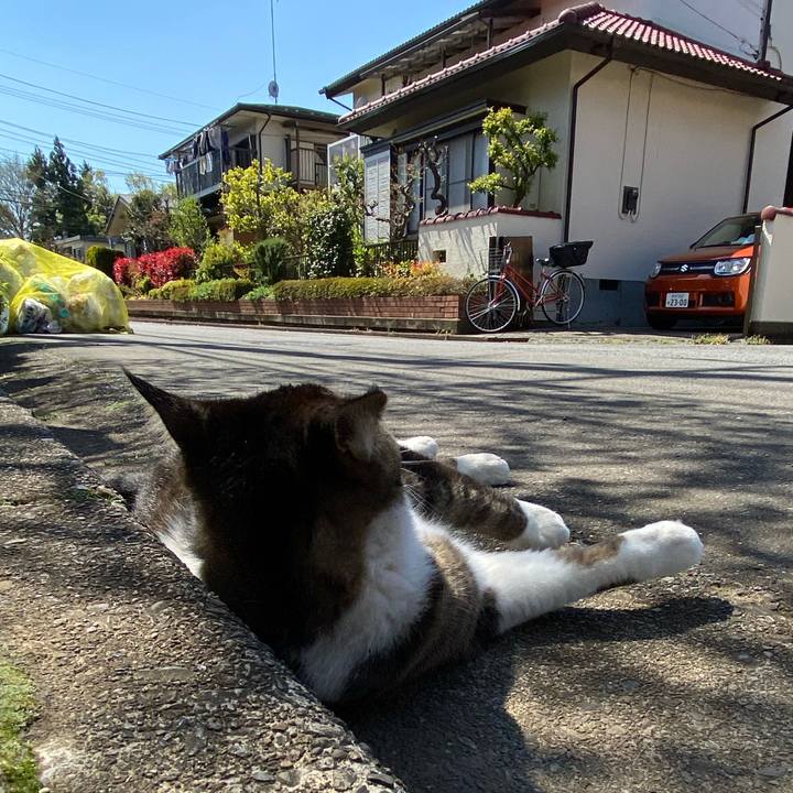 D66d5954 64f5 489f a8ae 82fe5f9dd3b6 1586840216580