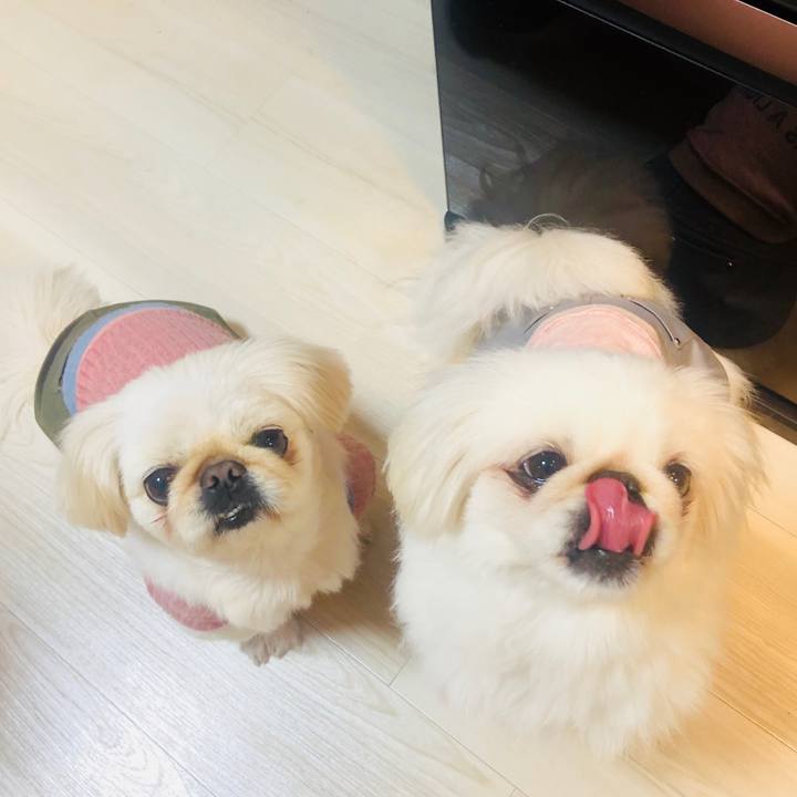 D66d8a27 a0b6 4730 bb7f 1a7f0c5128d8 1552568480909