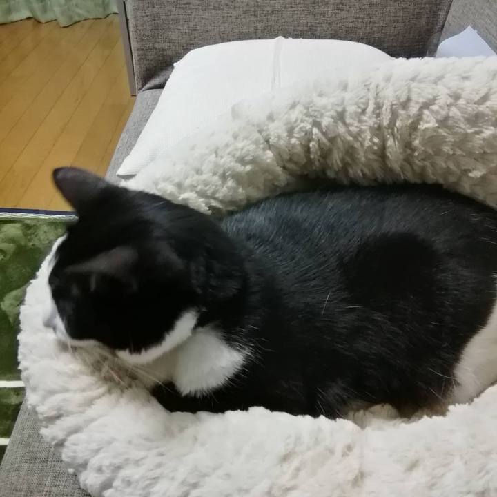 D66d94f0 4d25 4e62 afb4 fa6310fe03c5 1571495593543