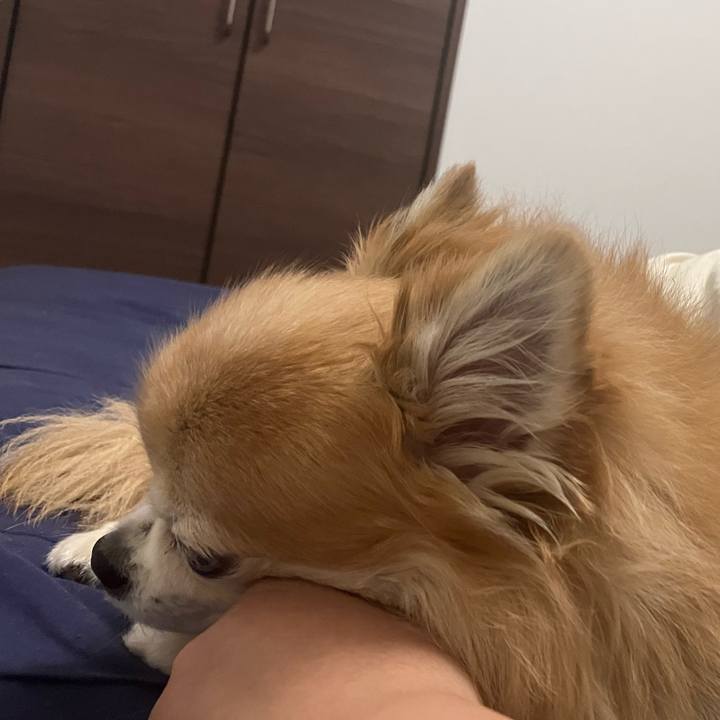 D66dc58d 2a9f 4c62 a0d5 2ee29c302c35 1760109549035