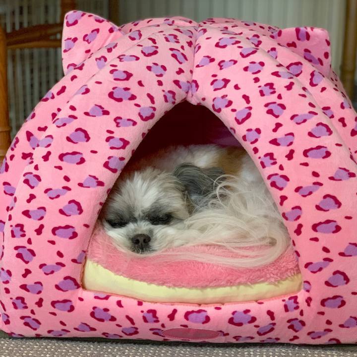 D66dce70 58f2 4027 b4fc c0db18f63127 1549490897721