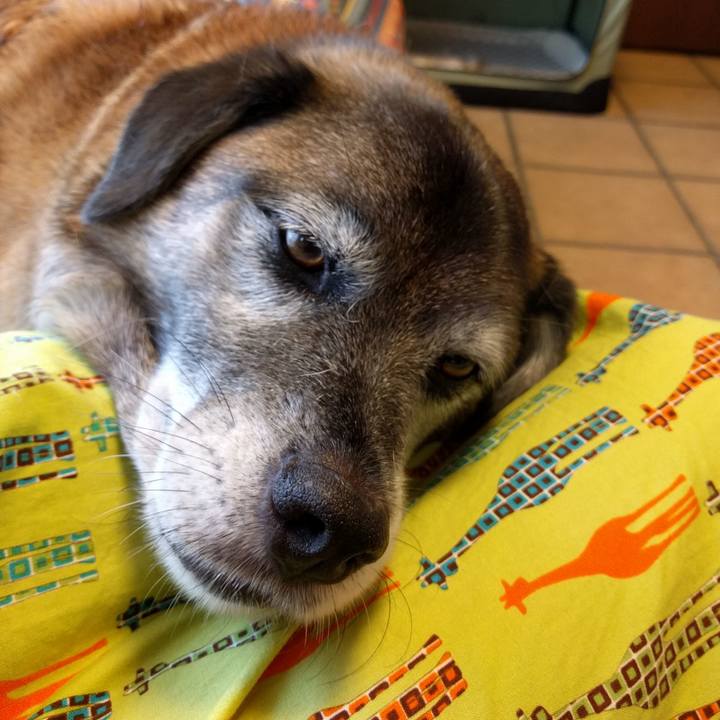 D66e02fa 0784 4da5 9eab 4ecdab54fedf 1732060048926