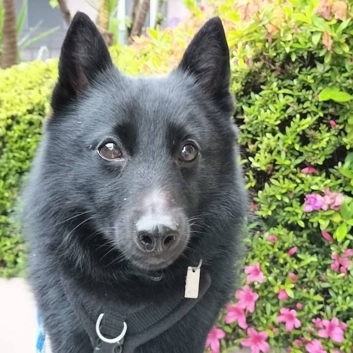 D66e1f90 373c 4322 a42e 1dbfe03062e7 1714427002999