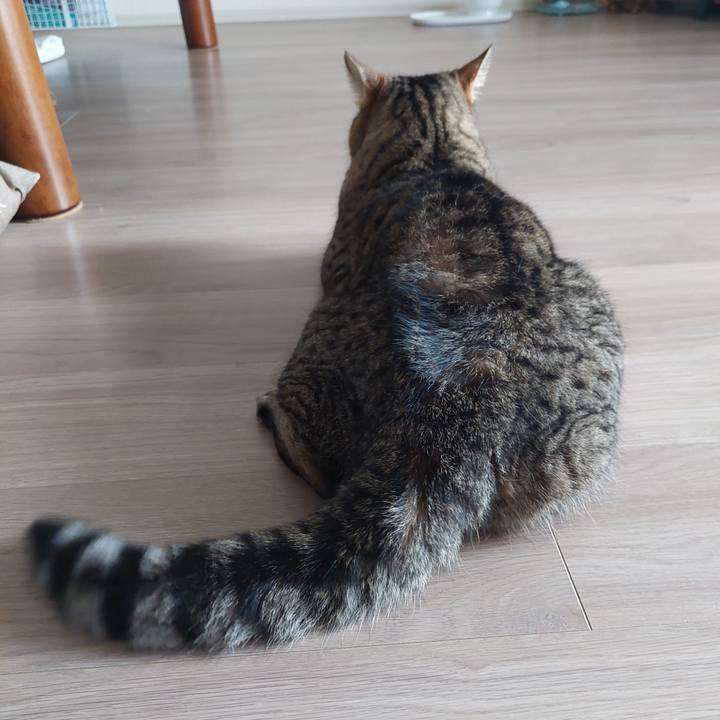 D66e6a37 7e88 4139 b10a c7a6cacabc39 1658269613394