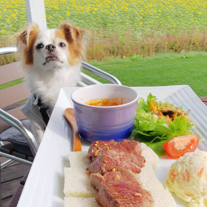 D66e8edf 6a08 4653 b062 4e61ebe257a0 1538830311161