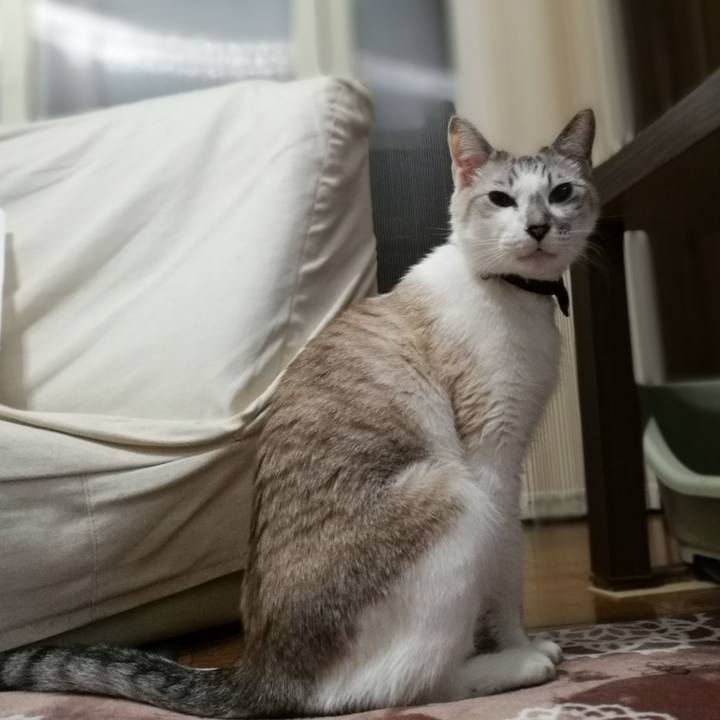 D66e9cd7 3a45 4850 93df 4d8adee16d3a 1513763576741