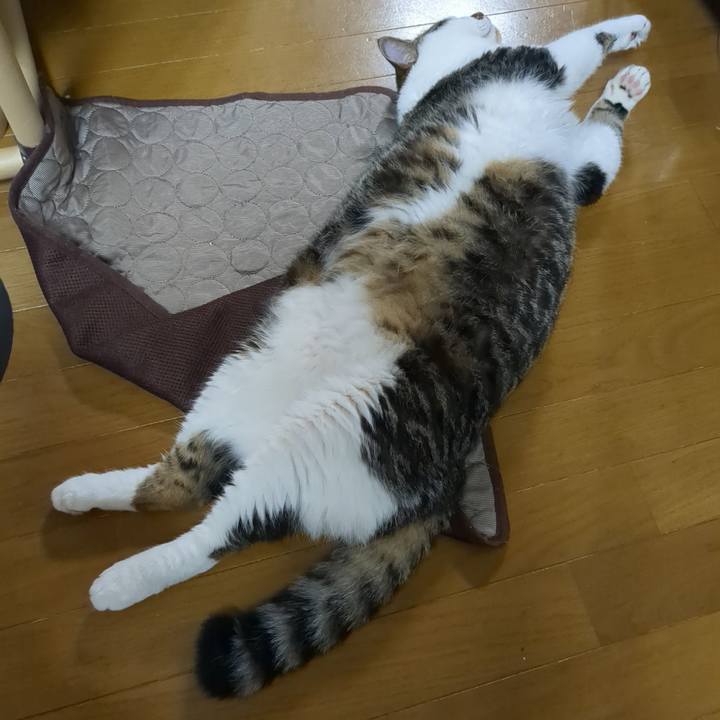 D66f1a7d f1f7 4911 885f 223476f4189b 1753182745284