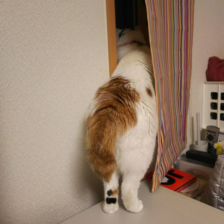 D66f3b1e 48ee 45a2 a573 d1683af25a61 1542551113781