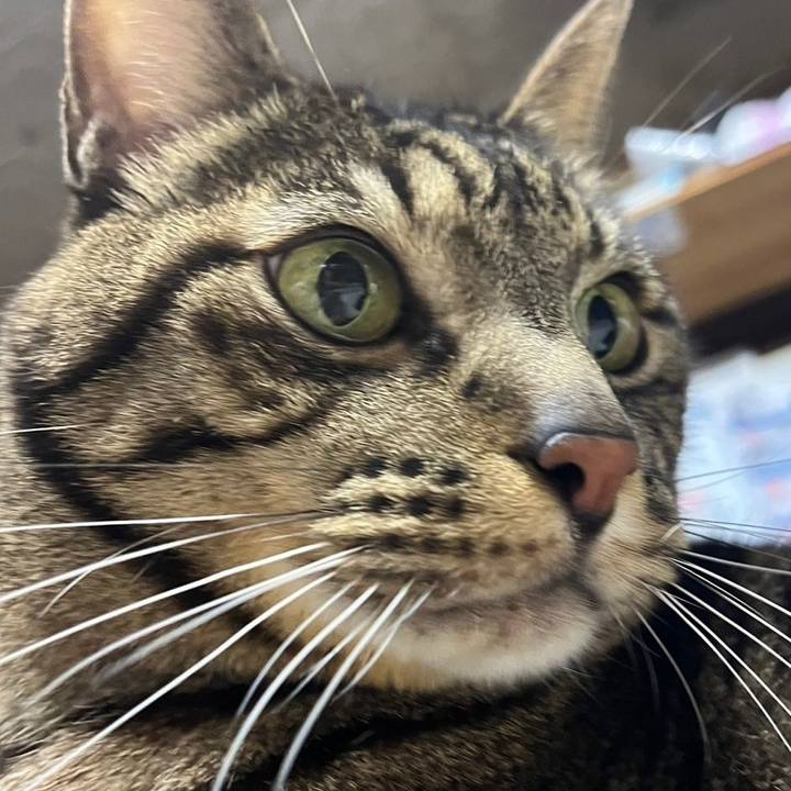 D66f624a 8a81 468d a633 abd32303ad24 1707562211455