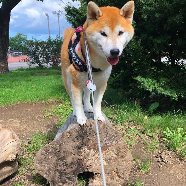 D66f6303 0e92 4017 889d 12cfffb63dc2 1567307163496