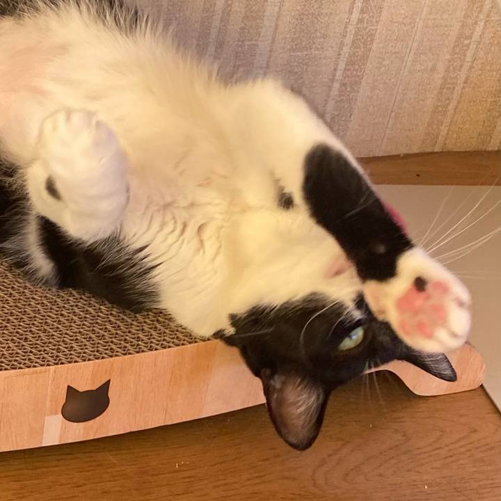 D66f78c6 1e3f 480a 8242 f3913e77d4fd 1757545960116