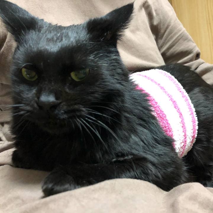 D66f8fba 5d7c 4e38 a79f feff440048e2 1607103238266