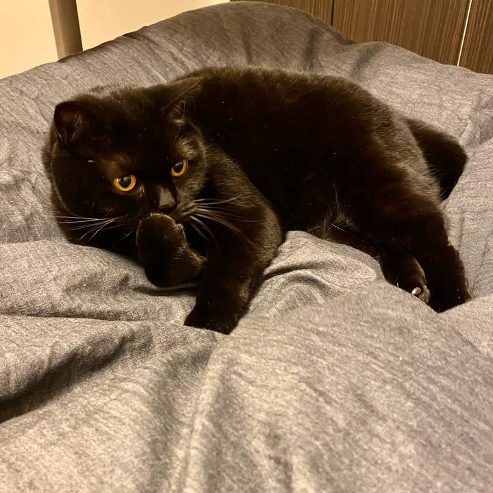 D66f9cd2 dc2a 4710 b53a a6e1acee4246 1740999091310