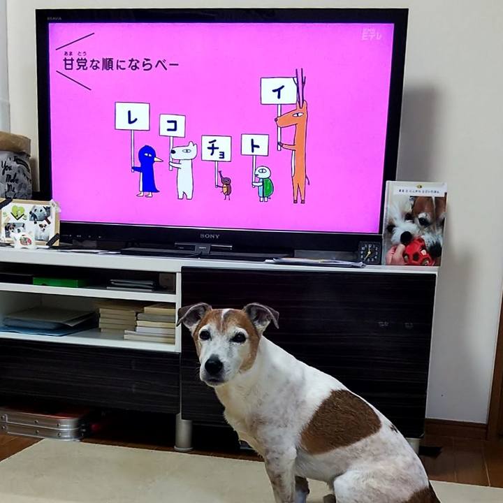 D66fa708 2f77 4f08 8512 e7ec71dcb660 1550095788228