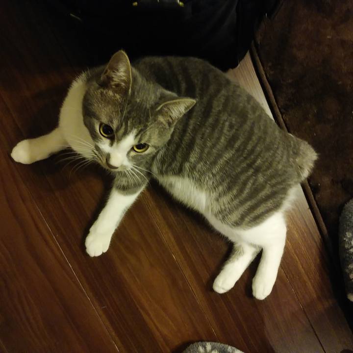 D66fa8e5 cad9 4324 8028 1ae45d175ce5 1577983167150