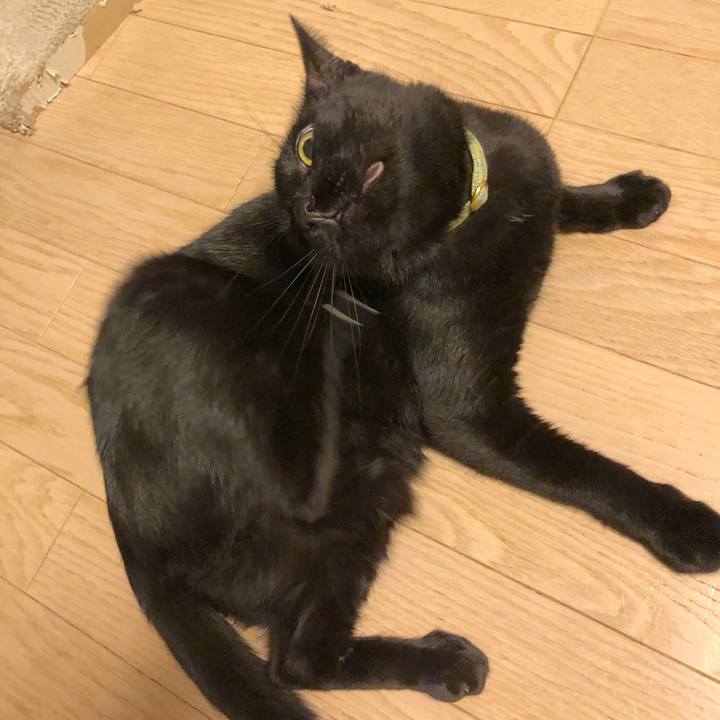 D66ffc77 bc5d 4d81 a729 11d237290fe5 1547384458035