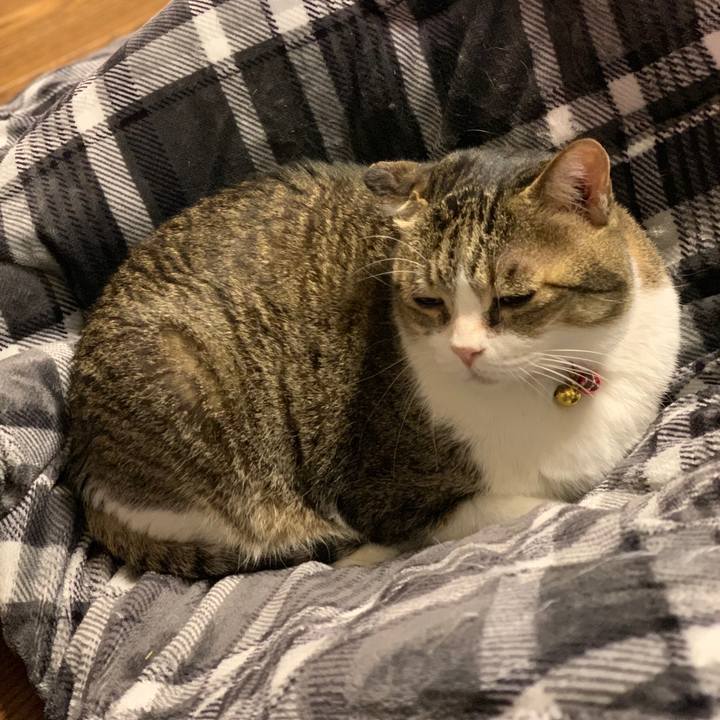 D66fff26 0570 431b 9aa9 bd300a9f69de 1699775889039