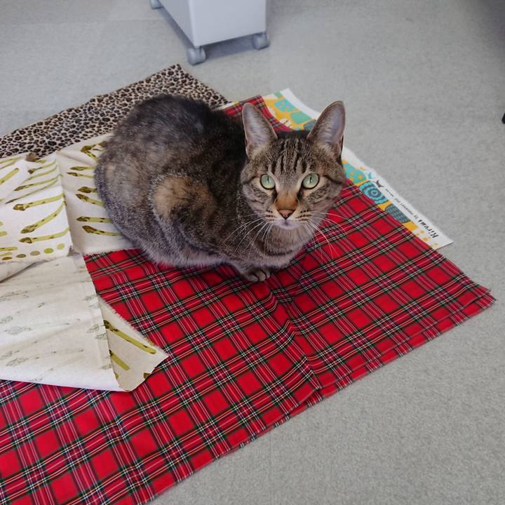 D6700509 10eb 4baa 9458 2df1aedc0808 1586577043330