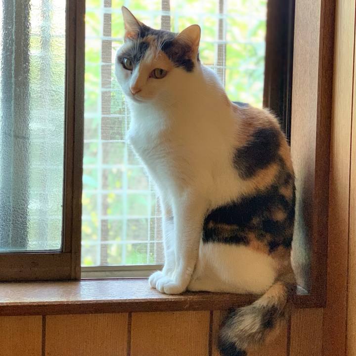 D67013c3 03e2 43b2 9bd8 2221e037fd5e 1539740042748