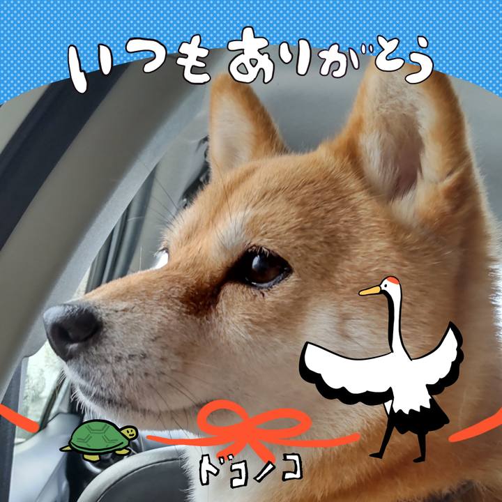 D6702e6e bf04 4062 aae6 91cd8793f723 1726813587279