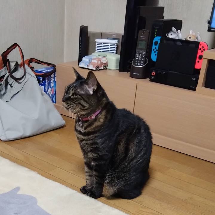 D67039b7 b9bb 4380 8096 c0a04fd2fd3d 1768646193496