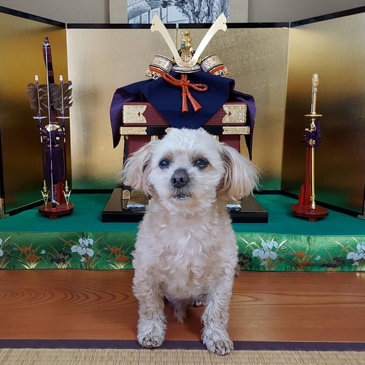 D6706f76 ca04 420b 8f45 41c7bcb920ed 1683270421385