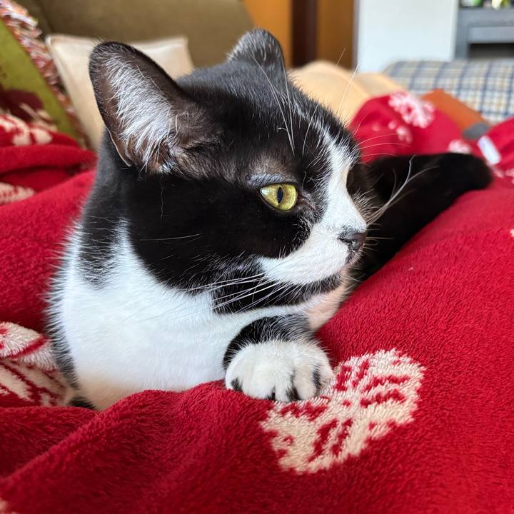 D670730f 97b6 4a55 87bc 4bf0aec5f22e 1773466149579