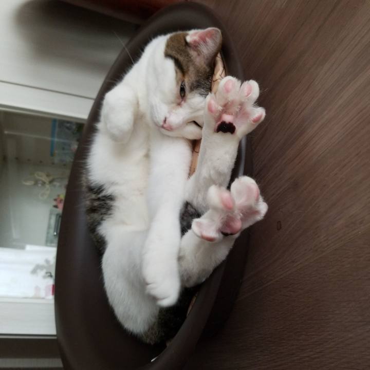 D670d947 e3f6 4166 b088 911d4a314f11 1559252639452