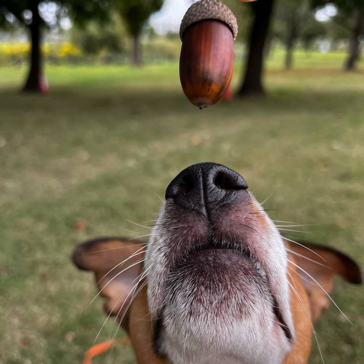 D670f1c3 981d 44fc 9b04 4bab2de9227e 1729936915735