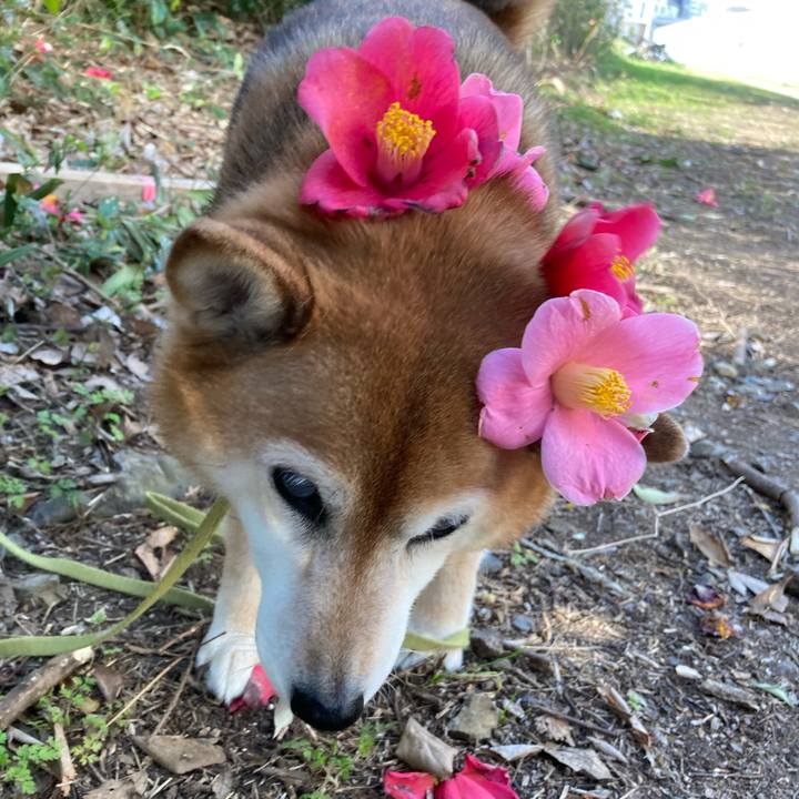 D6711d1c da0f 4835 84ab 1d47ce65782b 1677720591799